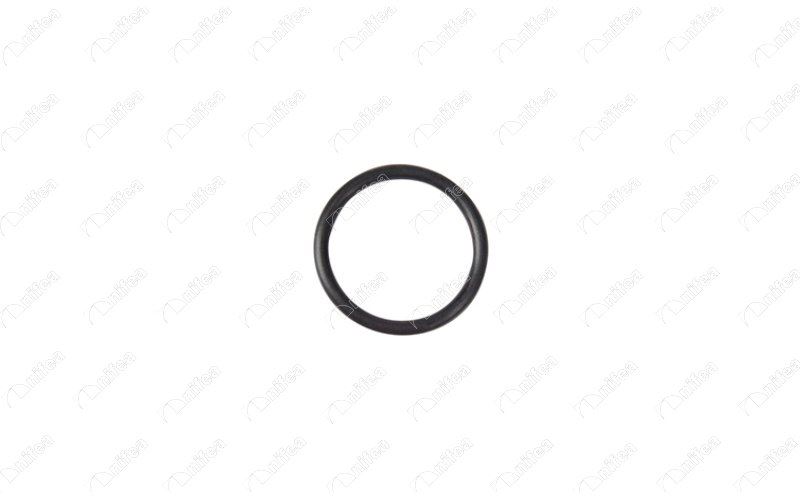 NIFEA 17699 Emme Manifold Contasi Berlingo - Jumpy - Xsara - Ducato - Scudo - P206 - P306 - Expert - Partner